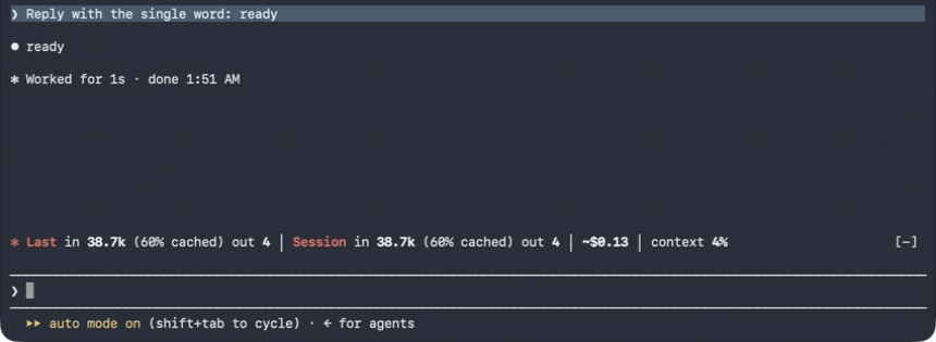 Token usage line after a response