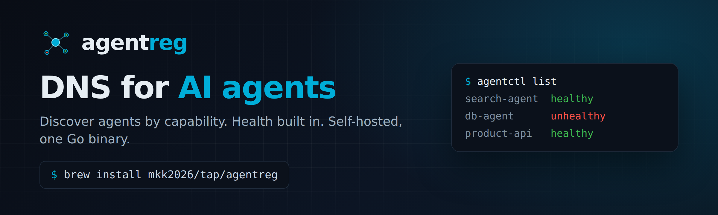 agentreg — DNS for AI agents