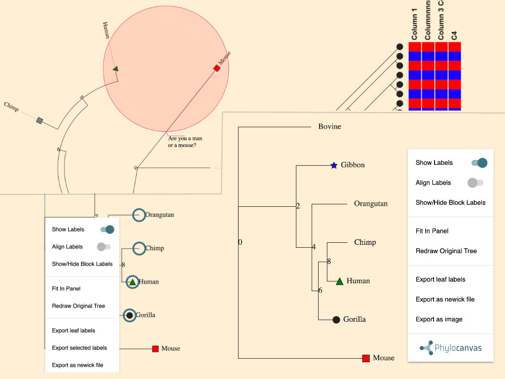 phylogeny-tree example illustration