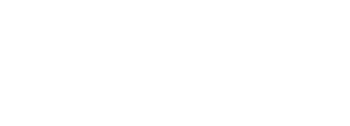 Pro Tork