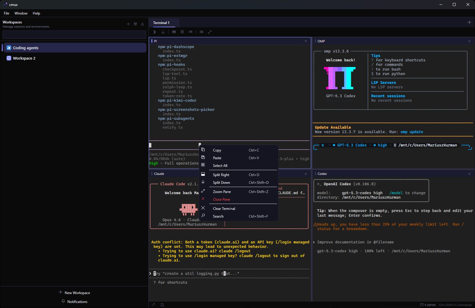 cmux main workspace