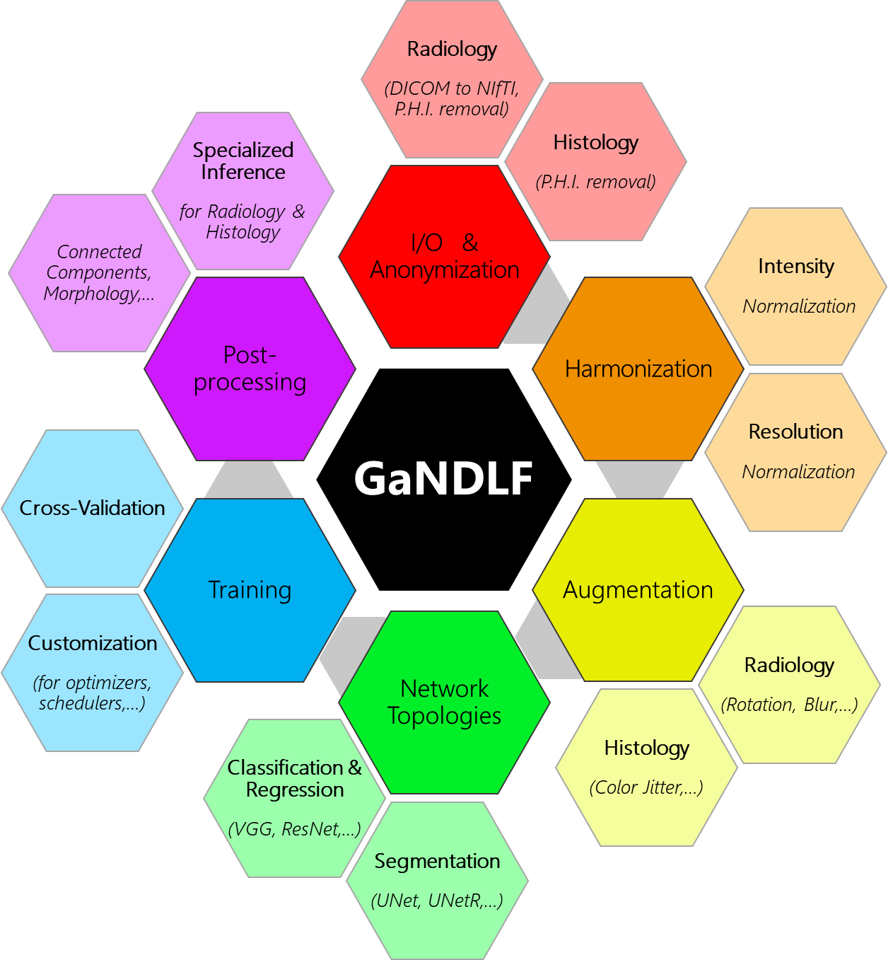 GaNDLF all options