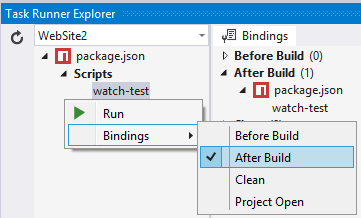 Visual Studio bindings