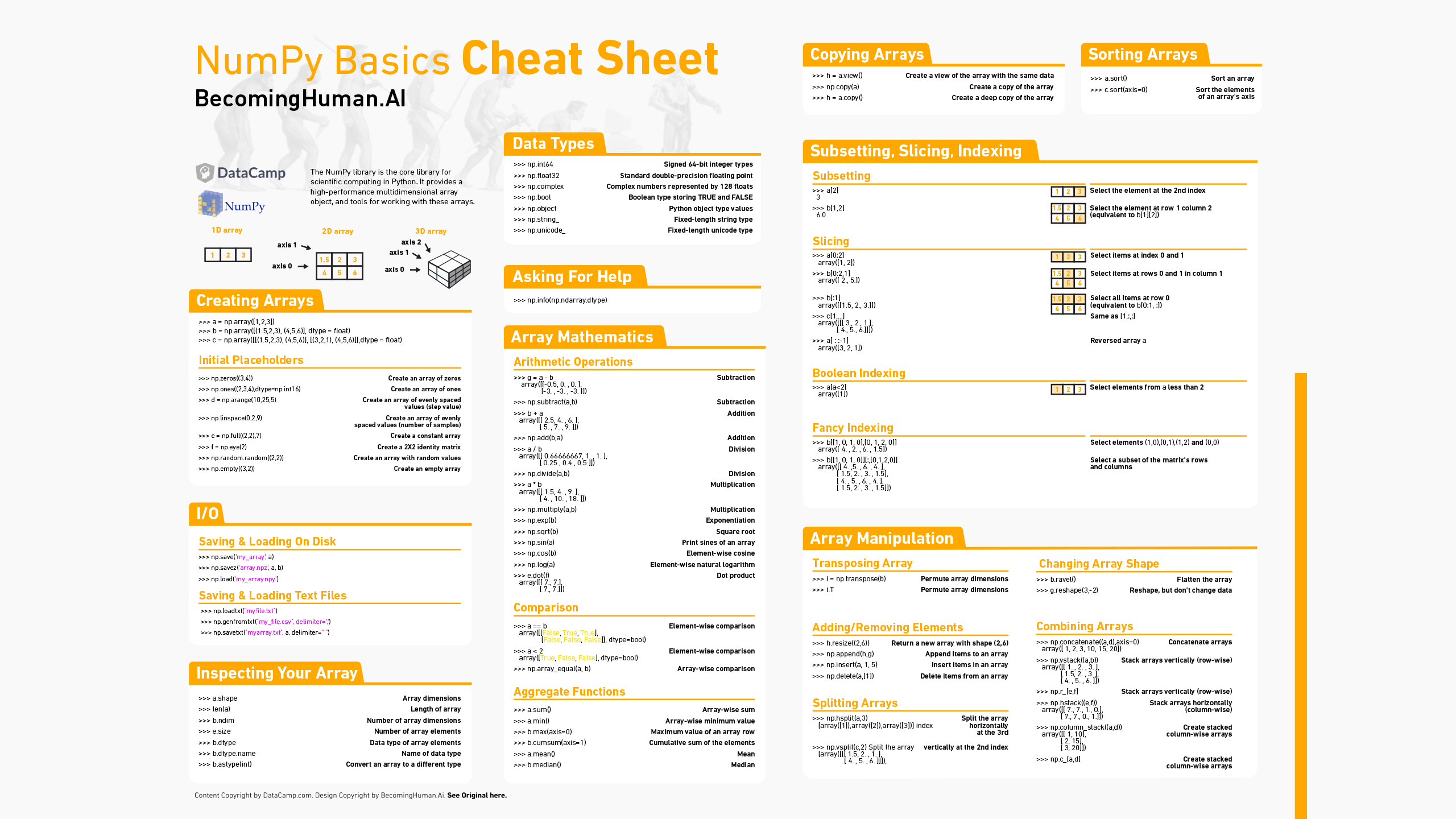 NumPy Basics