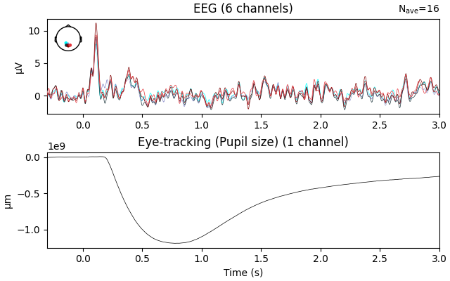 EEG (6 channels), Eye-tracking (Pupil size) (1 channel)