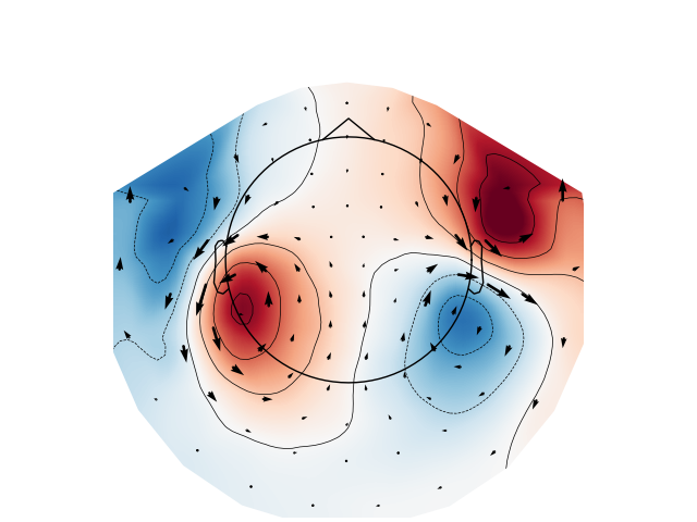 evoked arrowmap