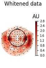 Whitened data, AU