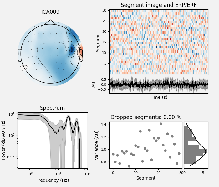 ICA009, Segment image and ERP/ERF, Spectrum, Dropped segments: 0.00 %