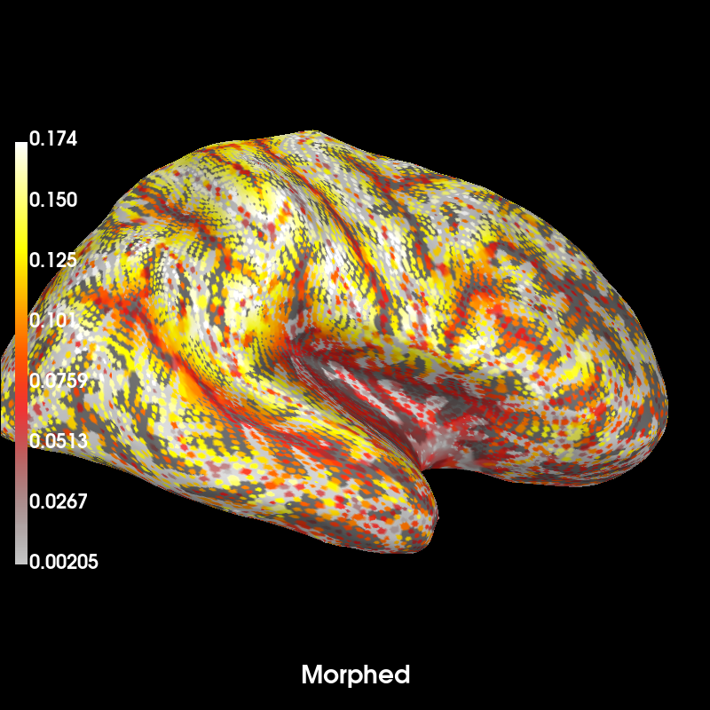 source space morphing