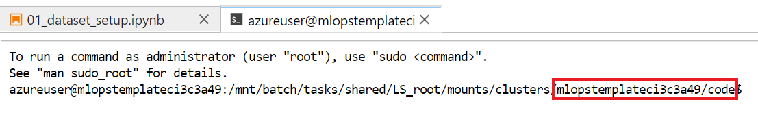 compute_instance_terminal_path