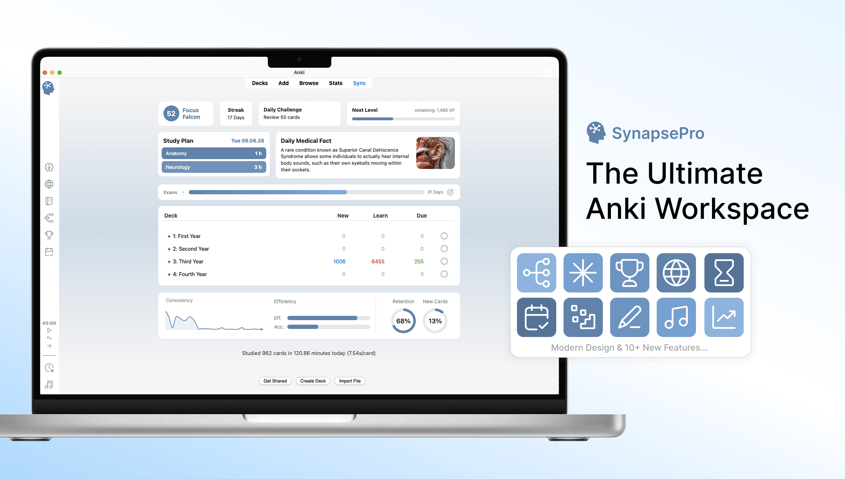 Synapse – The Ultimate Anki Workspace