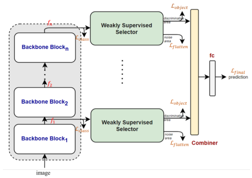 framework