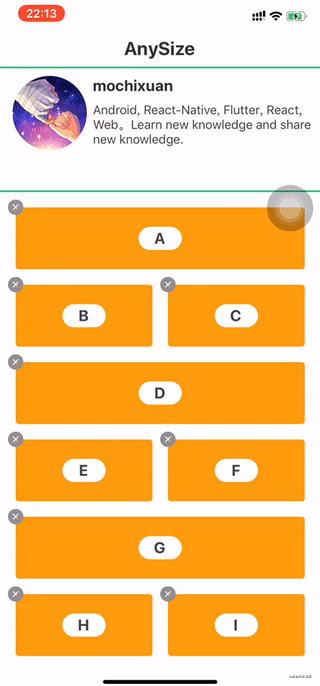 Anysize