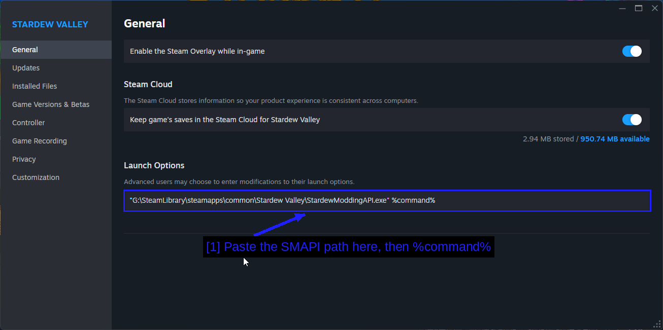 Setting The Launch Options In Steam