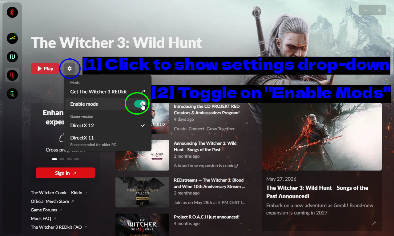 Paramètres Du REDLauncher