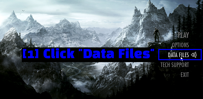 The Skyrim Launcher