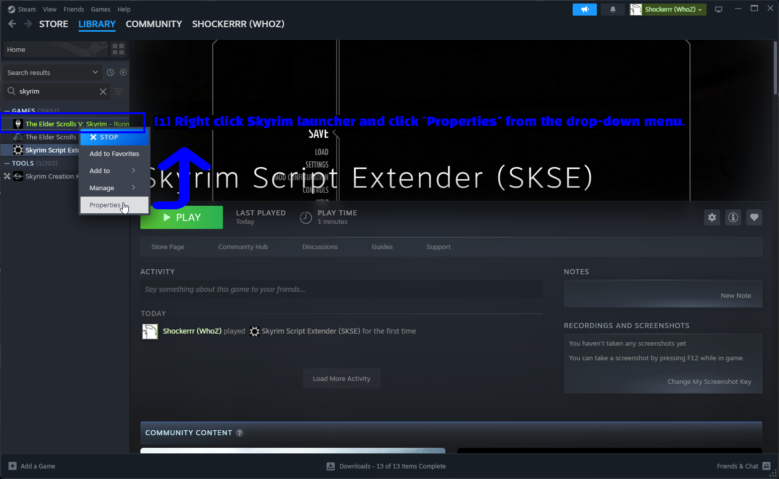 Skyrim Properties In Steam