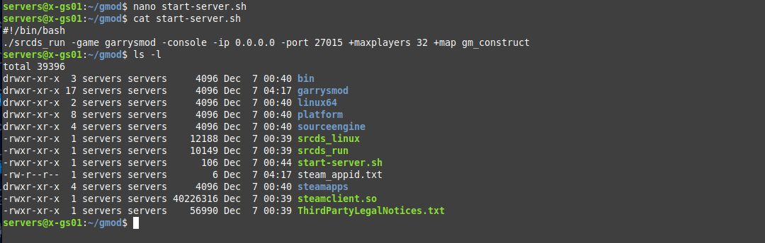 Server Start Linux