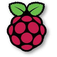 Raspberry Pi Logo