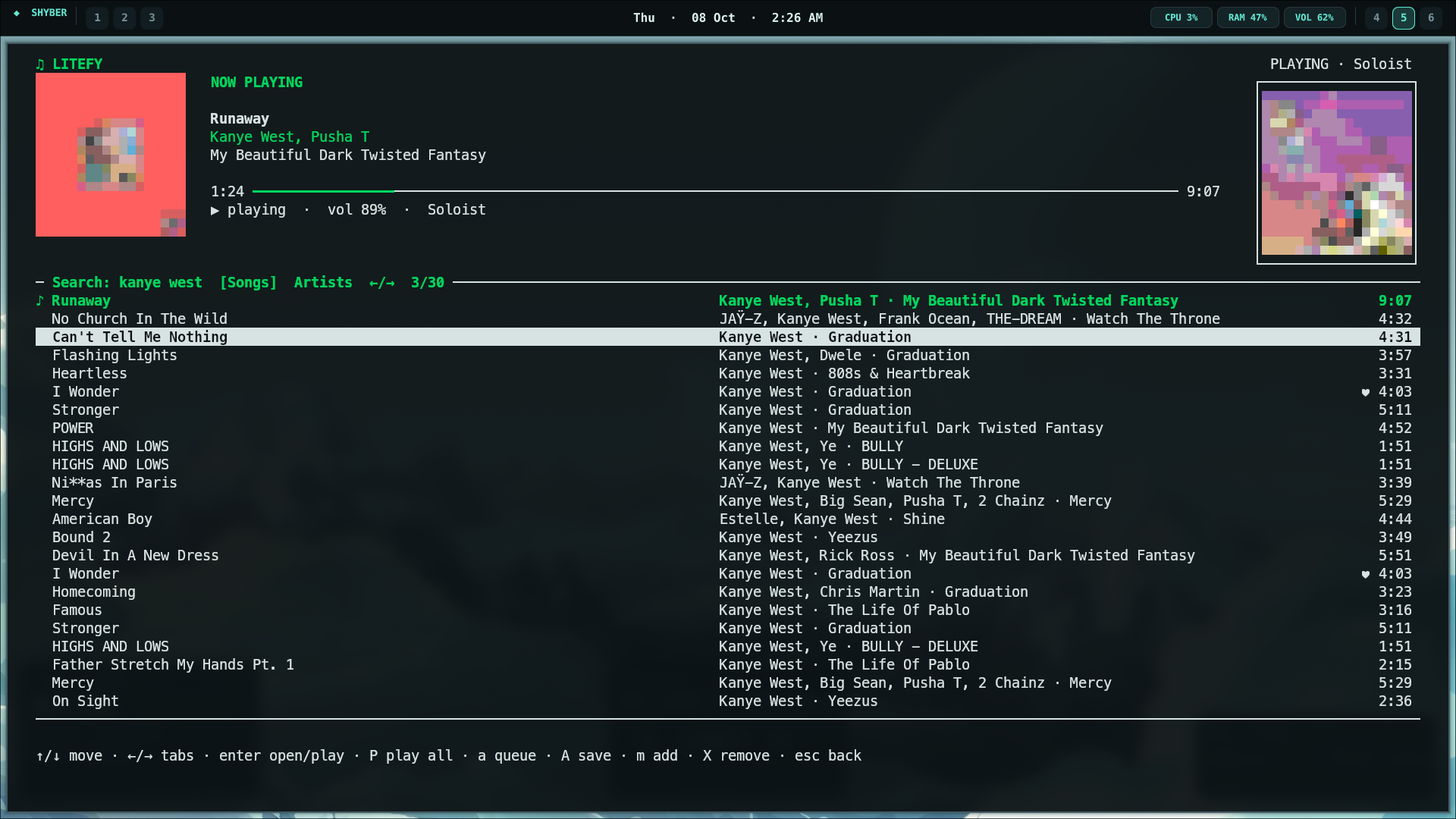 Litefy running in the terminal