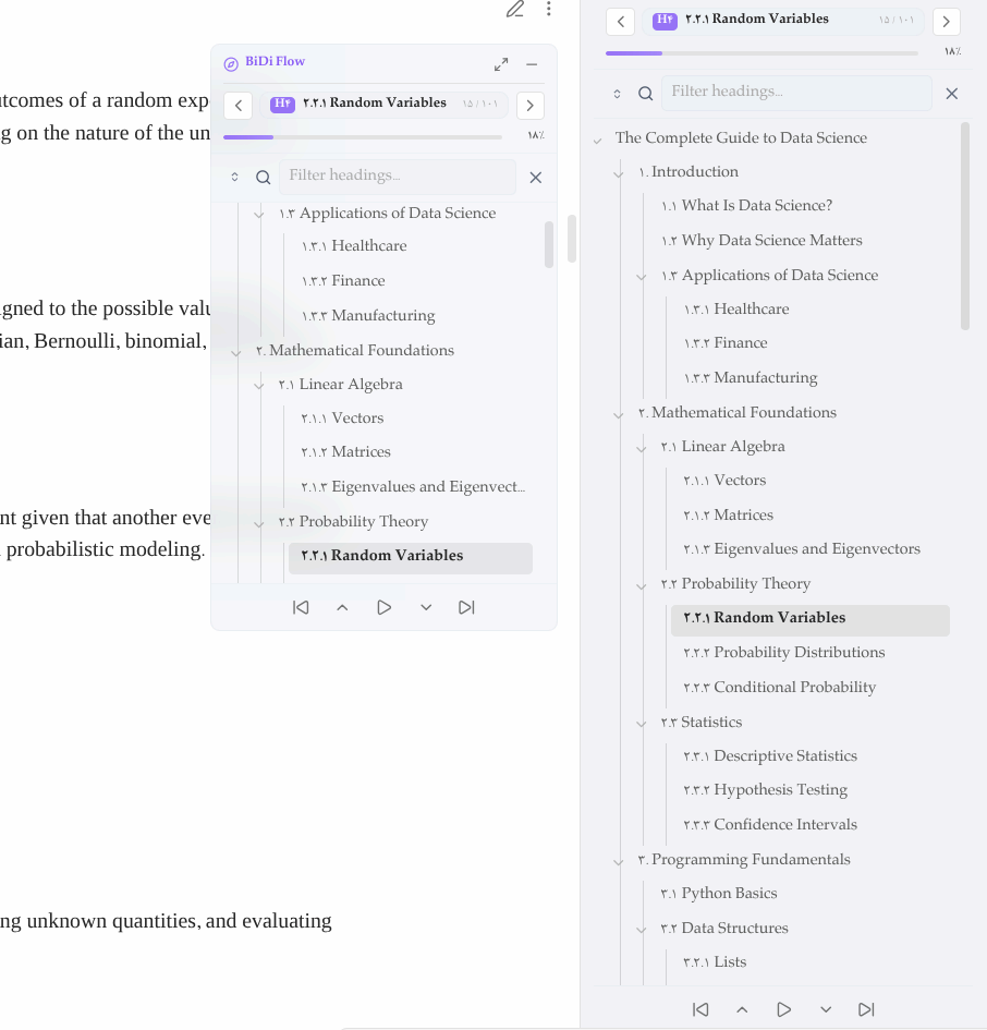 BiDi Flow Navigator Light Theme