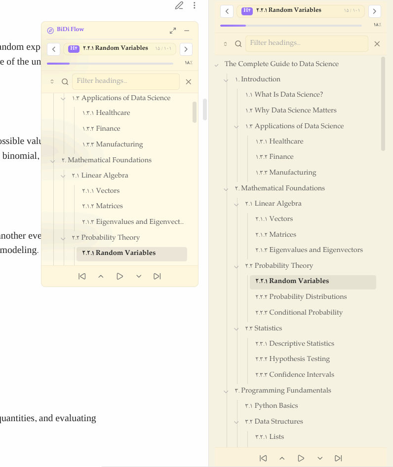 BiDi Flow Navigator Sepia Theme