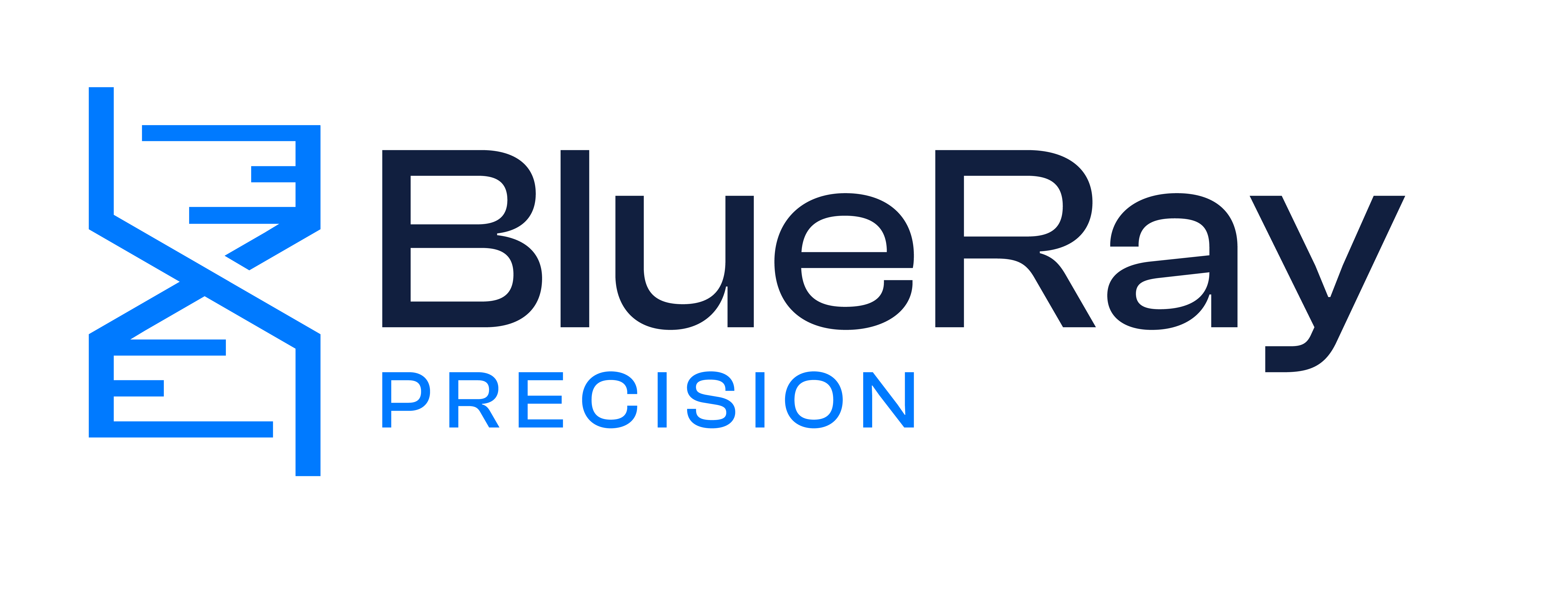 BlueRay Precision Logo