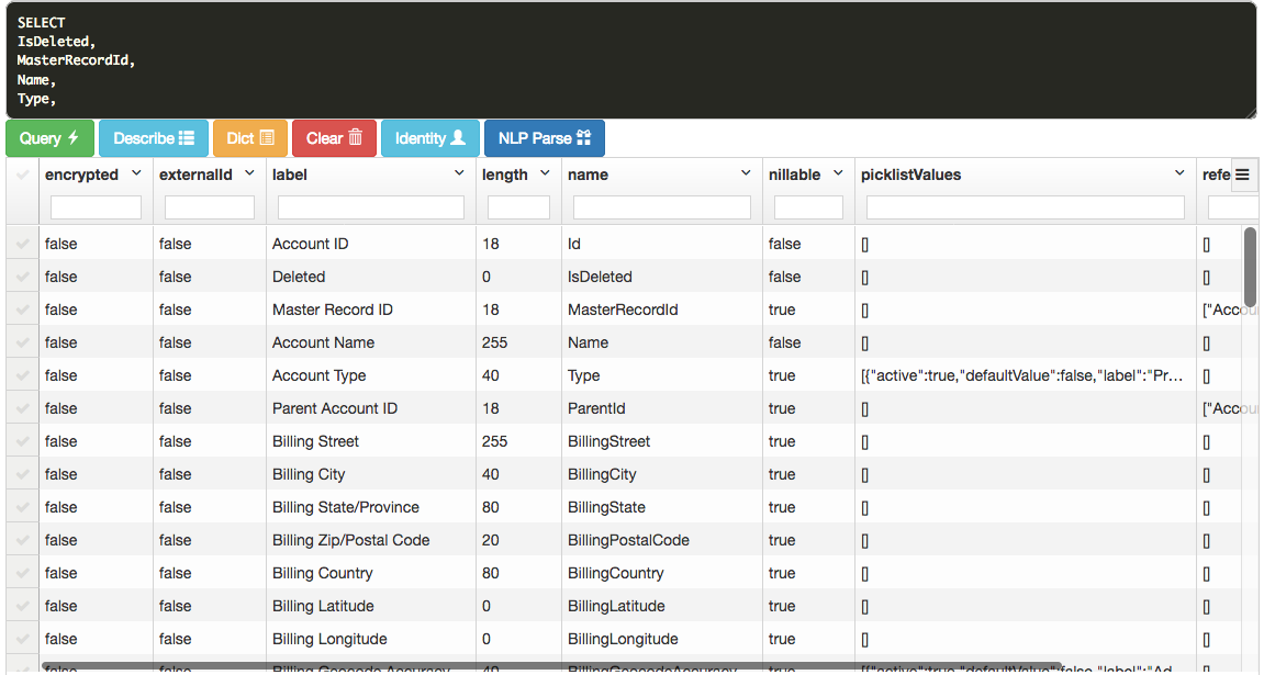 describe showing the Account Object