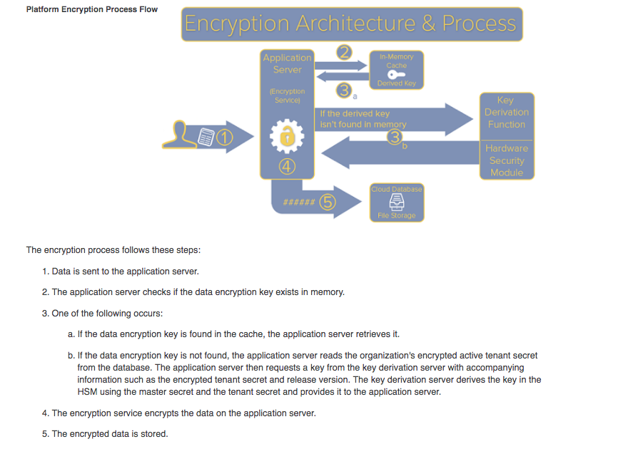 Platform Encryption Flow