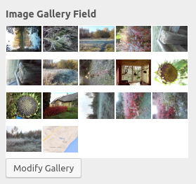 Image Gallery field in Customizer