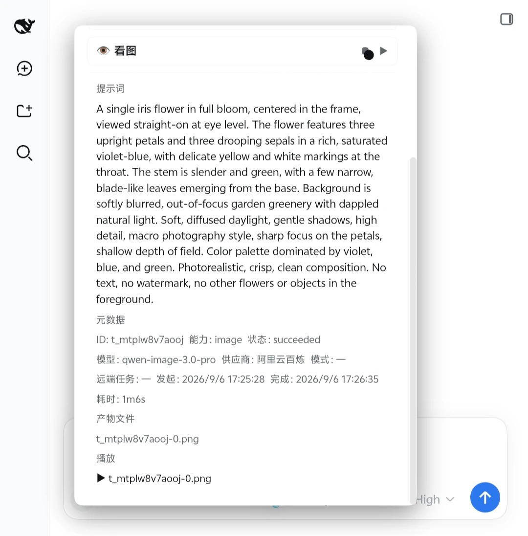 Iris 工作台中的图片任务成功详情