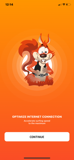 BelkaVPN showing a connected VPN session on iOS