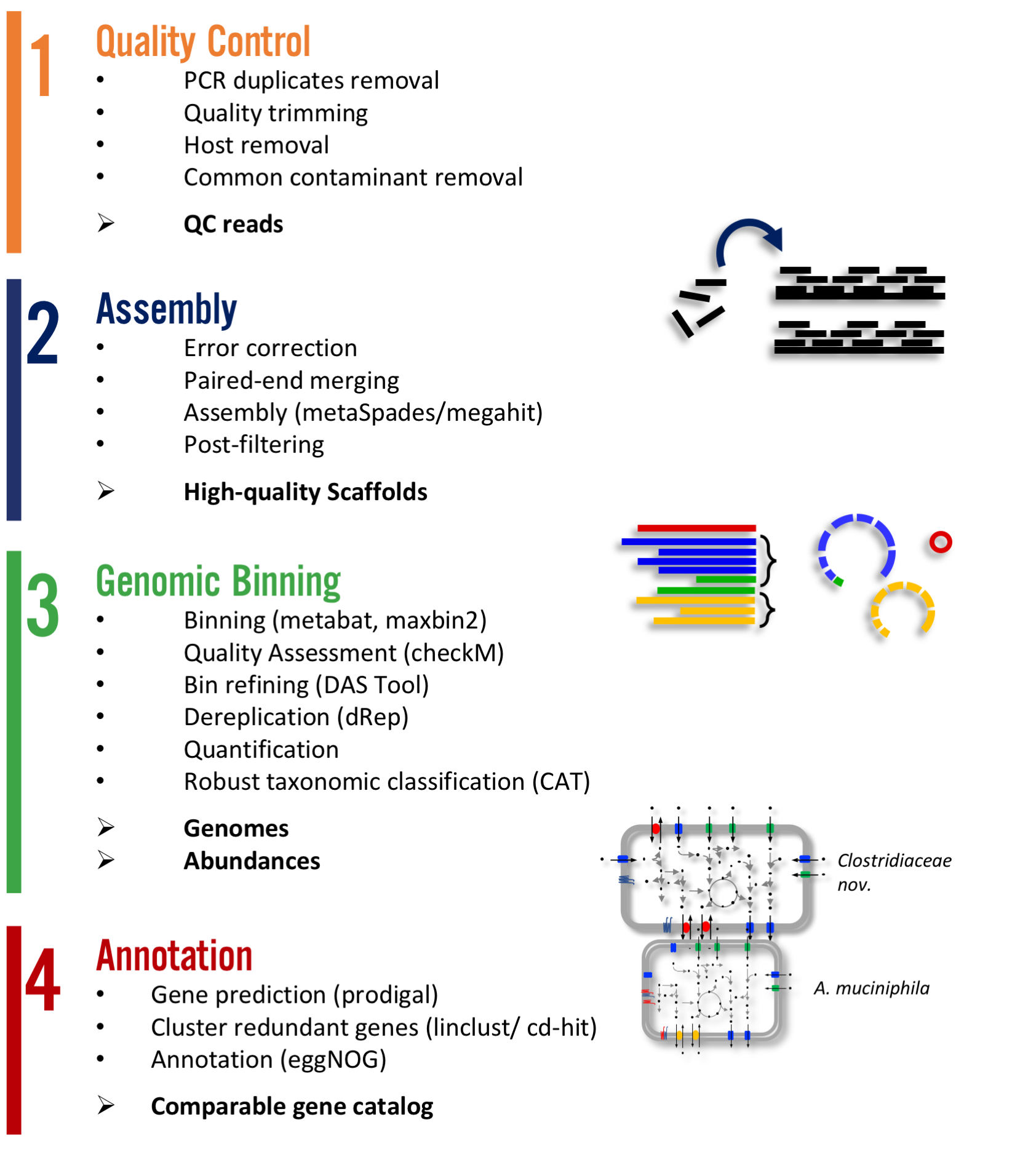 scheme of workflow