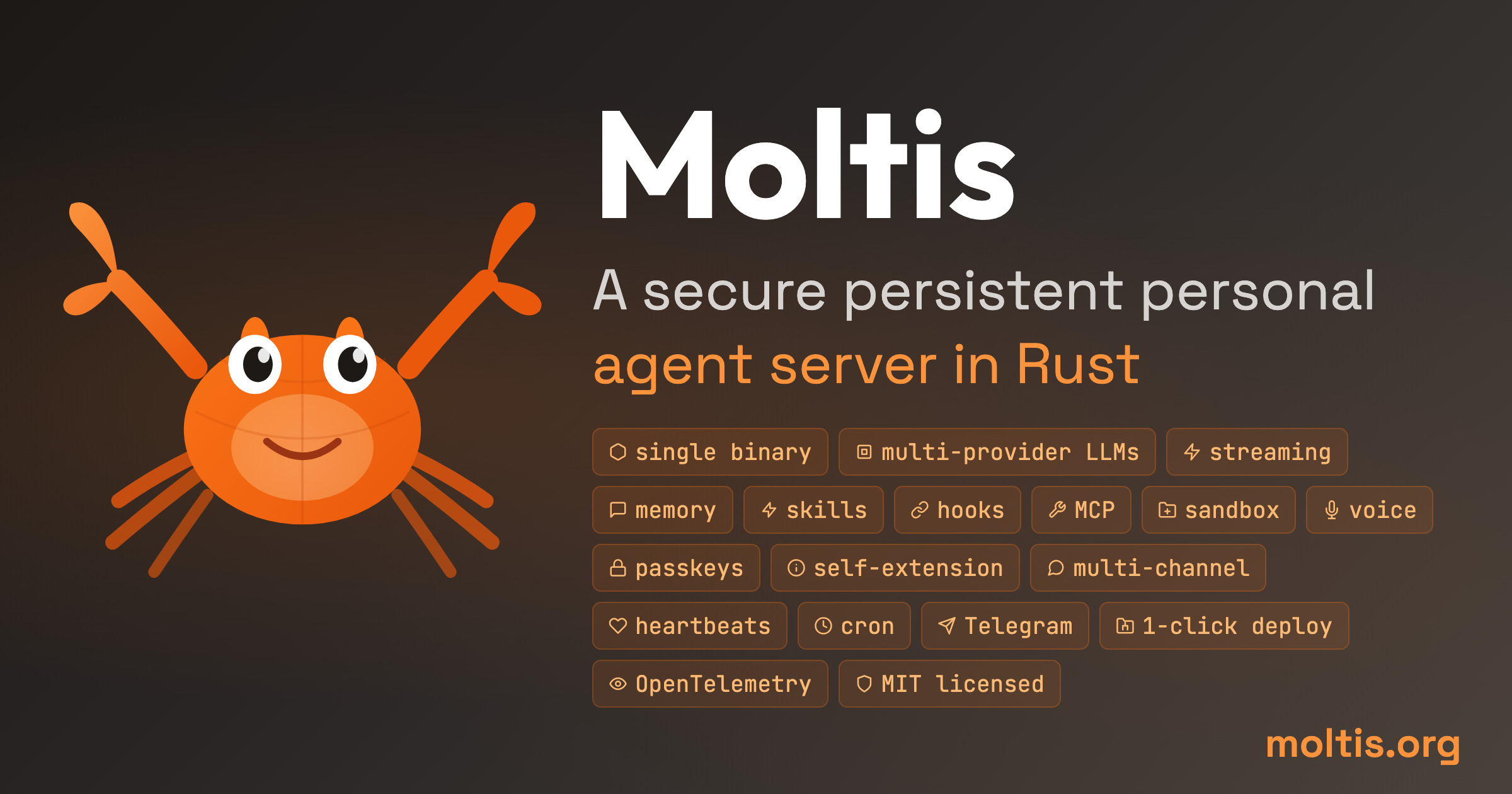 Moltis Social Preview