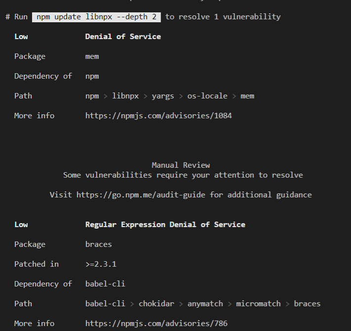 npm_audit2