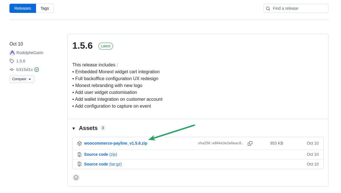 Screenshot showing release package github screen