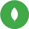 mongo-express logo