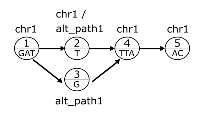GitHub - CominLab/VG-SNP-Aware: tools for working with genome variation ...