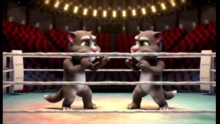 Baseline, cats boxing