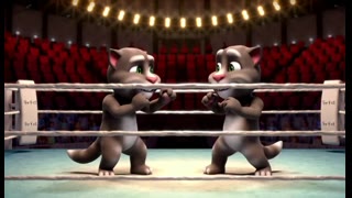 r=32, cats boxing