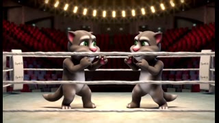 r=512, cats boxing