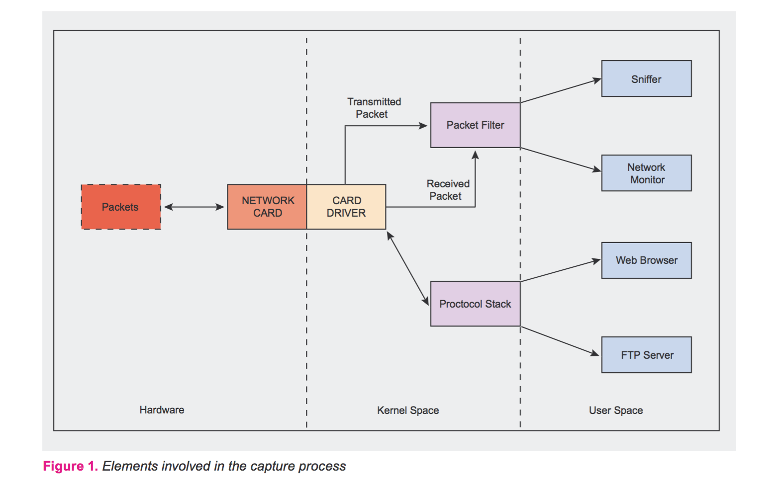 Elements involved in the capture process