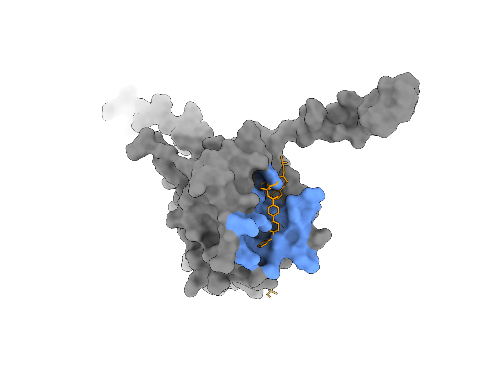 A Lacuna-detected cryptic pocket on apo BCL-XL, in blue, overlapping the ABT-737 binding site