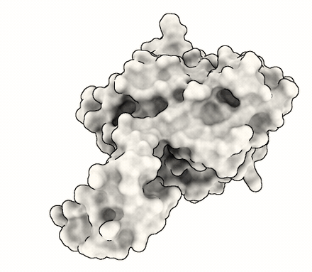 Adenosine kinase breathing along its lowest normal mode; as the interdomain cleft opens, a cryptic pocket (blue) is revealed and a ligand docks into it