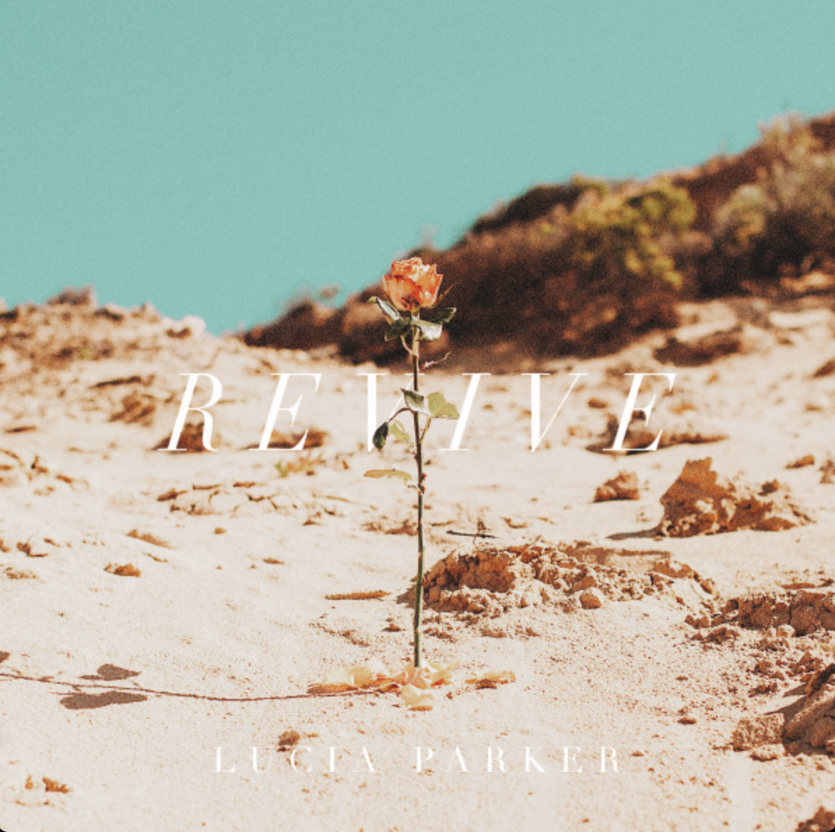 Mixed by Ainslie Grosser — Lucia Parker Revive