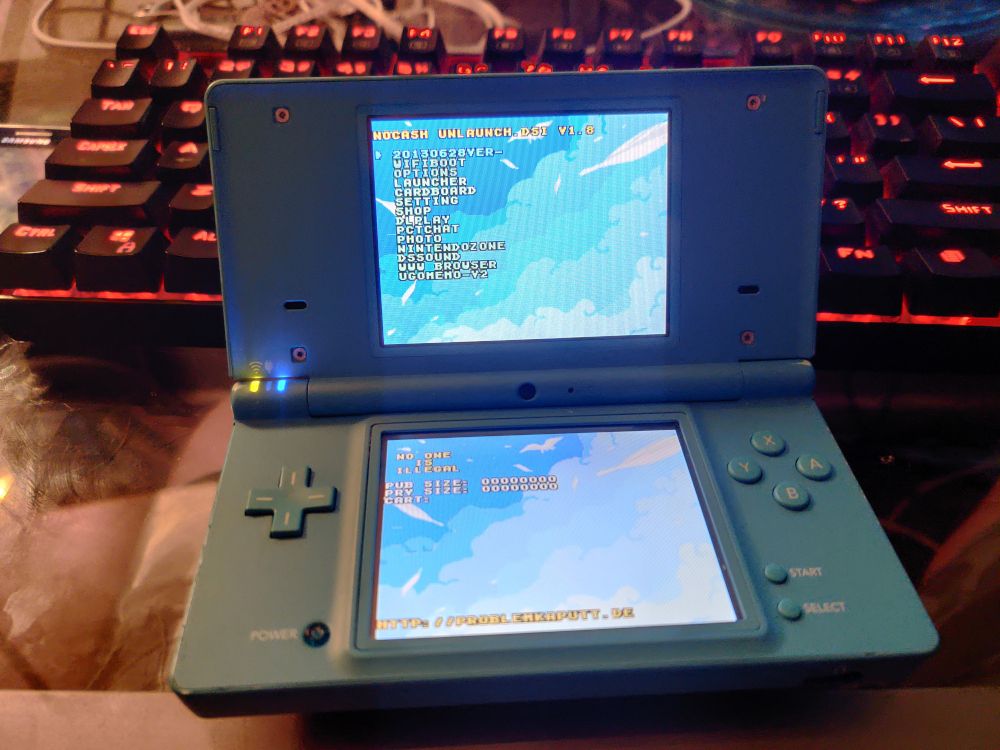 Nintendo DSi