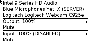 Screenshot of xsndiomenu showing three audio devices (the second being the active server), output level (100%) and mute option, and input level (100%; recording disabled in the kernel) and mute option