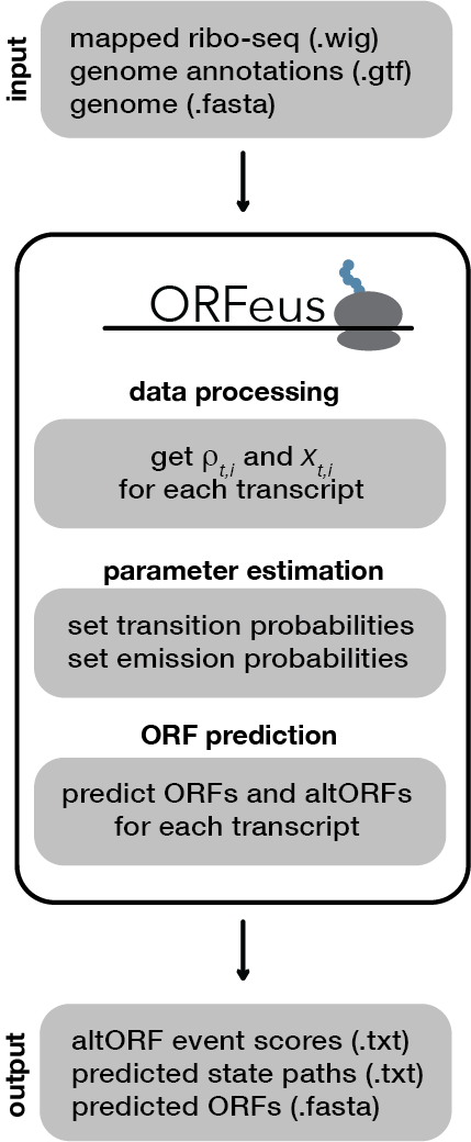 altorf types