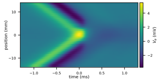 Recording of colliding APs in earthworm