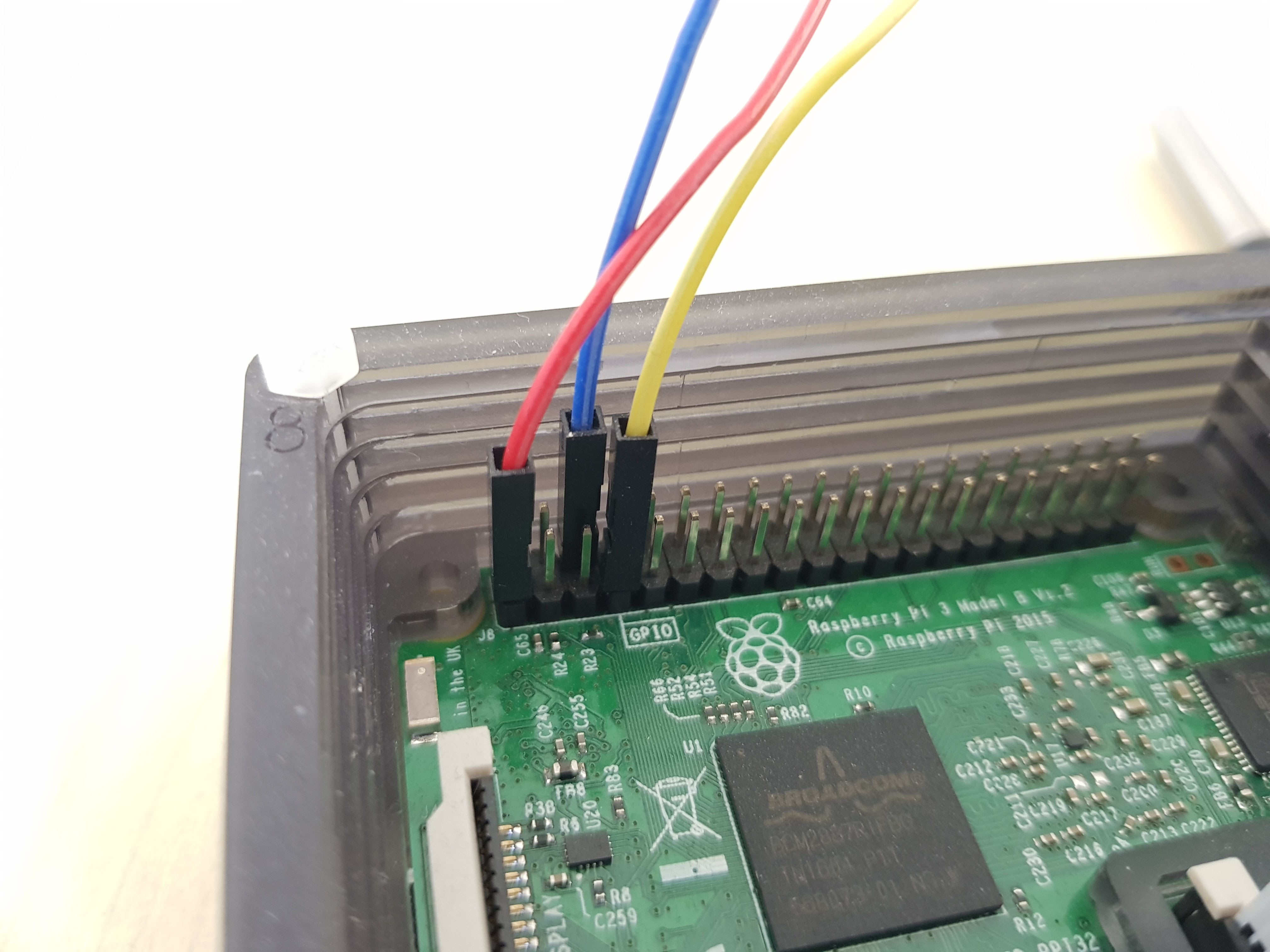 Connecting the jumpers to the GPIO pins